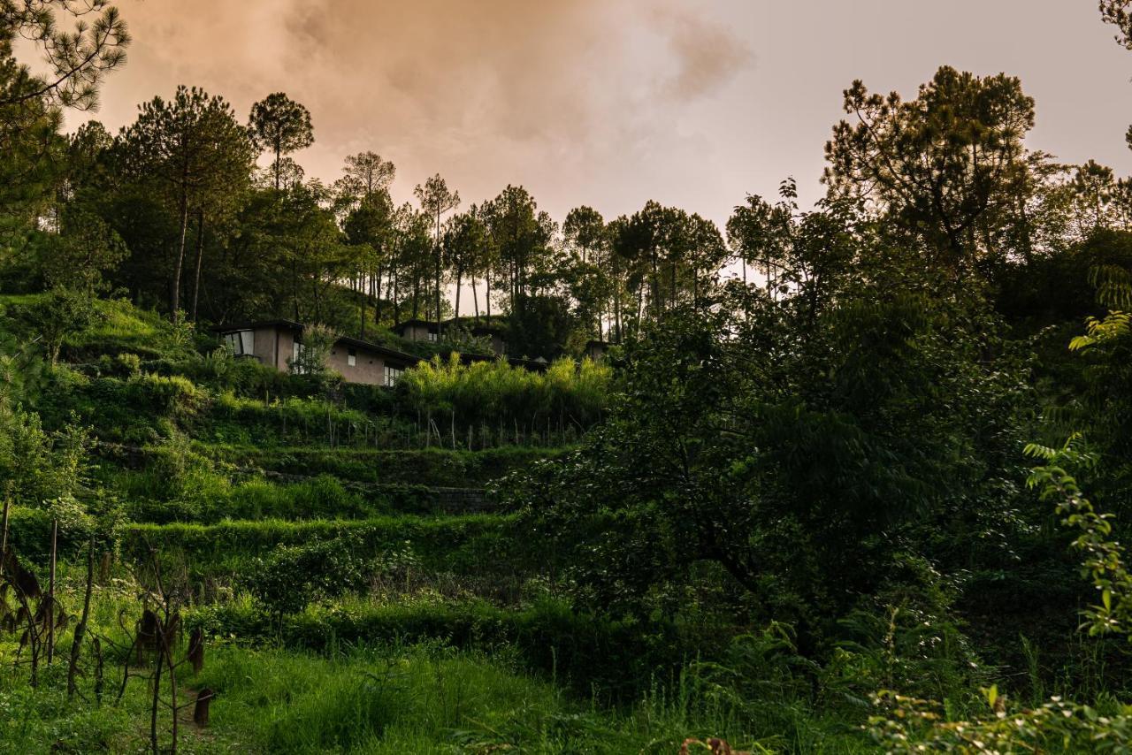 Amaya Kasauli Exterior foto